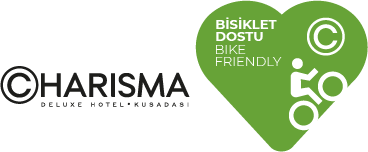 bike_friendly_logo.width-250-01